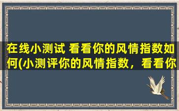 在线小测试 看看你的风情指数如何(小测评你的风情指数，看看你属于哪种类型的人！)